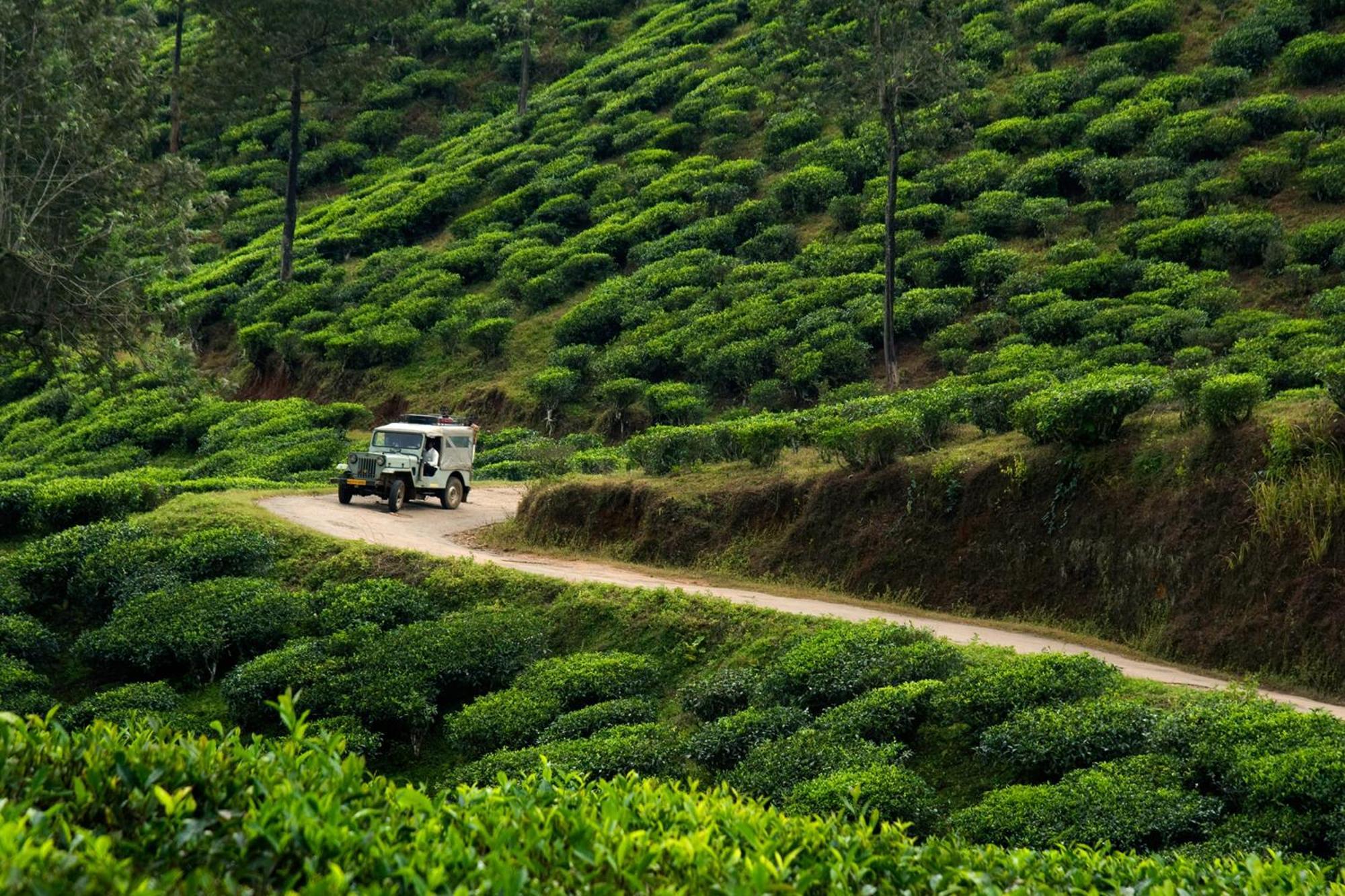 Spicegreen Homestay,Thekkady Eksteriør bilde