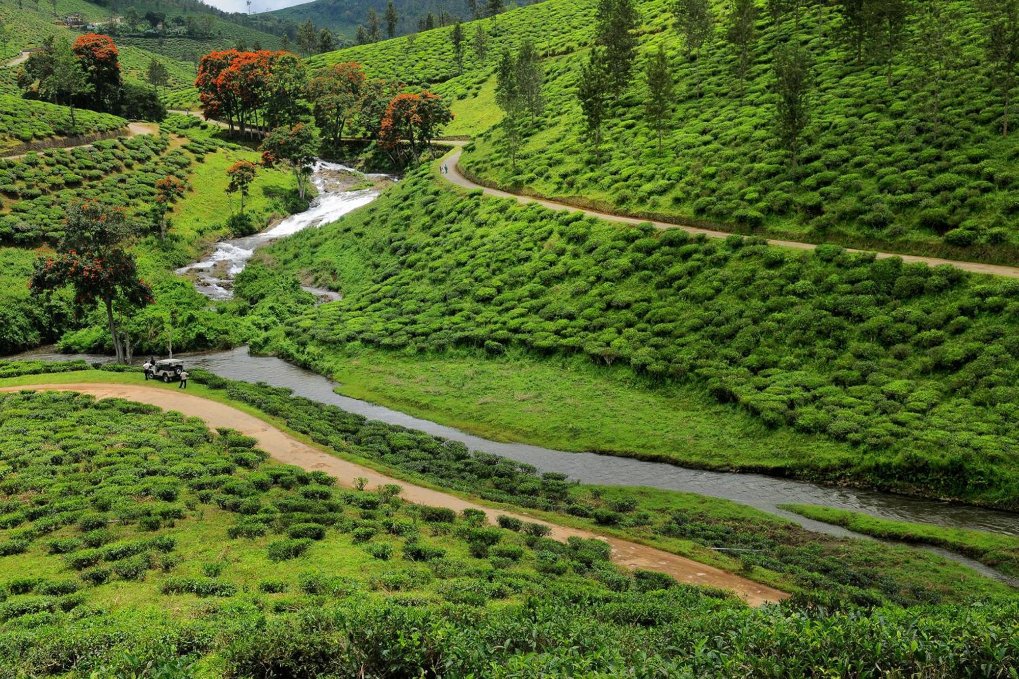 Spicegreen Homestay,Thekkady Eksteriør bilde