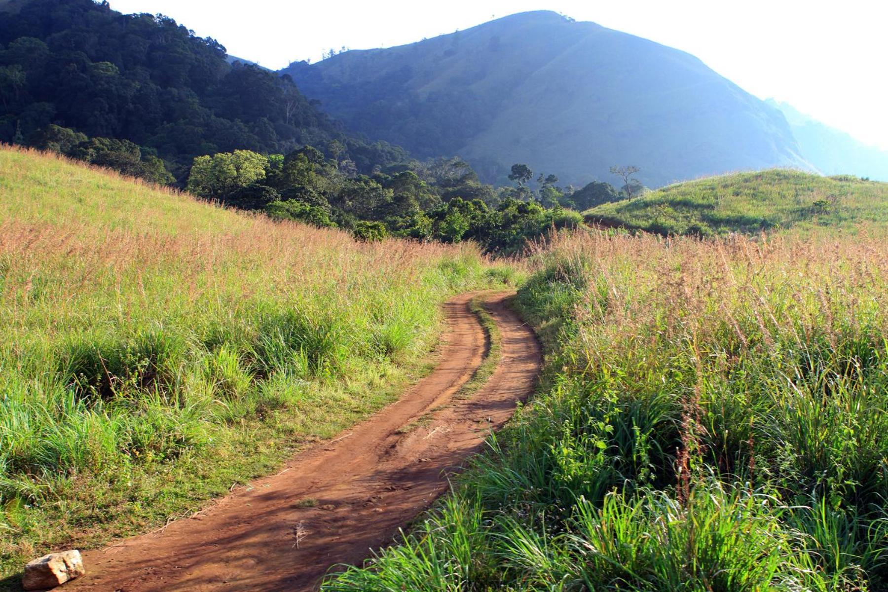 Spicegreen Homestay,Thekkady Eksteriør bilde