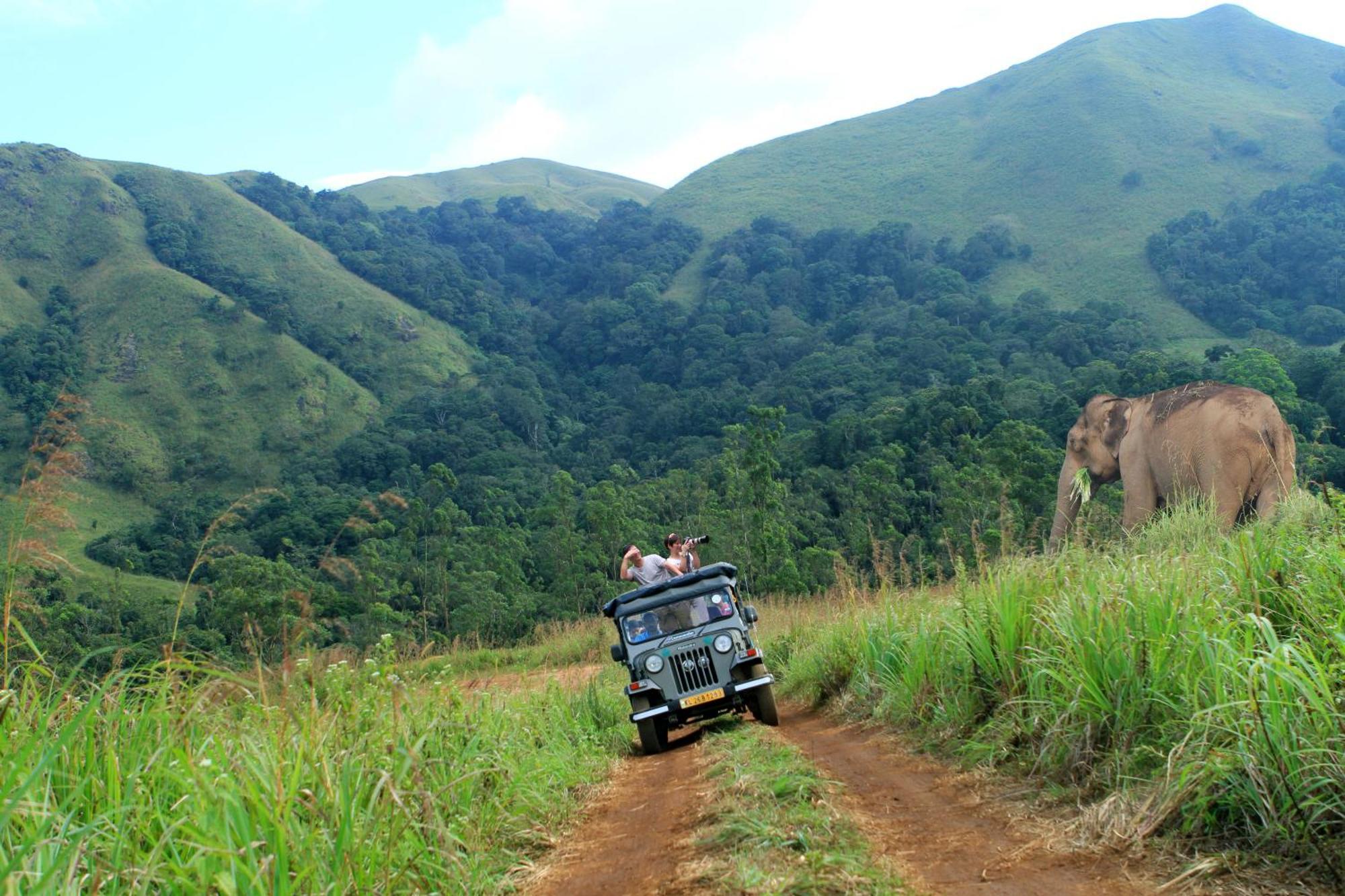Spicegreen Homestay,Thekkady Eksteriør bilde